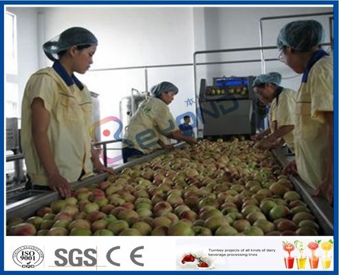 Chaîne de production de jus de fruit de pêche/abricot/prune machines de transformation de fruits