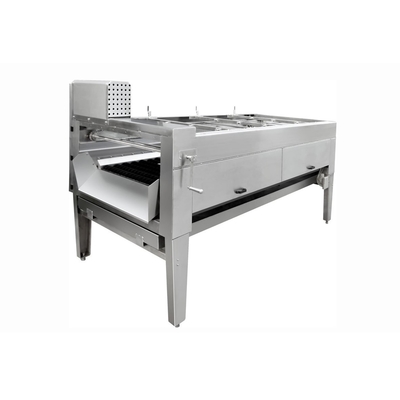 Machine à laver fraîche automatique de fruit d'acier inoxydable de décapant de gingembre/safran des indes