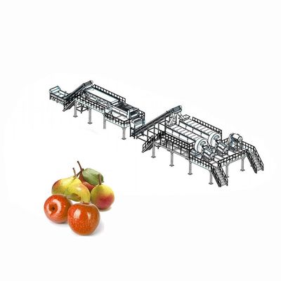 Équipement de évaluation de levage de transformation de fruits d'Apple pour la classification