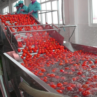 220V Industrial Automatic Fruit Washer Machine For Vegetable Fruit Processing